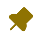 Pin icon